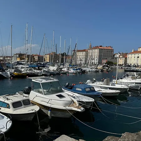 Lavander Piran